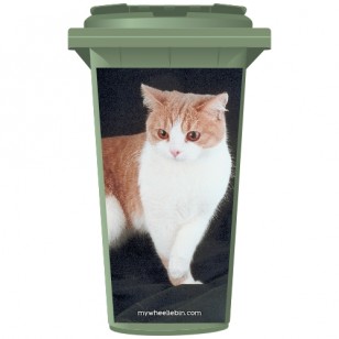 Tabby Ginger Cat Wheelie Bin Sticker Panel